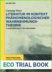 Literatur Im Kontext Phanomenologischer Wahrnehmungstheorie: M. Blechers Poetik Des Empfindens (Weltliteraturen World Literatures) (German and German Edition)