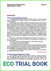 Alicerce do Paraiso - os cinco volumes juntos