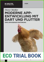 Moderne App-Entwicklung mit Dart und Flutter (de Gruyter Stem) (German Edition)