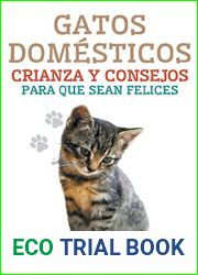 Gatos Domesticos Crianza y Consejos Para que Sean Felices (Spanish Edition)