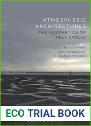 Atmospheric Architectures: The Aesthetics of Felt Spaces