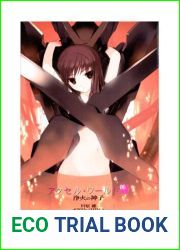 Accel World - Volumen 06