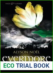 Das Schattenland (Evermore, #3)