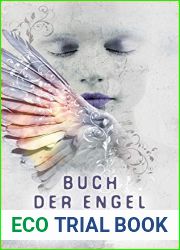 Buch der Engel (Angelussaga, #3)