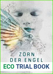 Zorn der Engel (Angelussaga, #2)