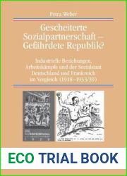 Gescheiterte Sozialpartnerschaft - Gefahrdete Republik?: Industrielle Beziehungen, Arbeitskampfe und der Sozialstaat. Deutschland und Frankreich im … zur Zeitgeschichte, 77) (German Edition)