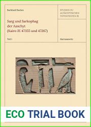 Sarg Und Sarkophag Der Aaschyt (Kairo Je 47355 Und 47267) (Studien Zum Altagyptischen Totenbuch) (German Edition)
