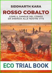Rosso cobalto: Come il sangue del Congo alimenta le nostre vite (Storie) (Italian Edition)