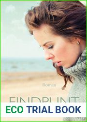 Eindpunt (Dutch Edition)