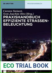 Praxishandbuch effiziente Strassenbeleuchtung (De Gruyter Praxishandbuch) (German Edition)