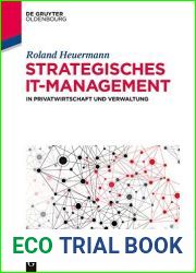 Strategisches IT-Management in Privatwirtschaft und Verwaltung (German Edition)