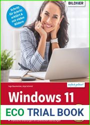 Windows 11: Vom Einsteiger zum Profi (German Edition)
