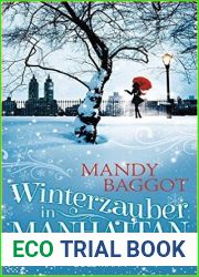 Winterzauber in Manhattan