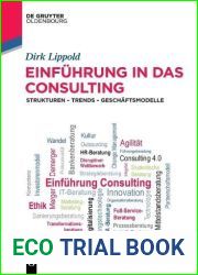 Einfuhrung in das Consulting: Strukturen - Trends - Geschaftsmodelle (De Gruyter Studium) (German Edition)