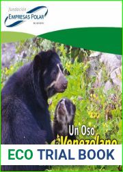 Un oso venezolano, el oso frontino
