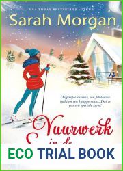 Vuurwerk in de sneeuw (O|Neil Brothers, #3)