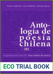 Antologia de poesia chilena. Vol III. La generacion post 87: otra vuelta de tuerca