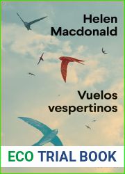 Vuelos vespertinos