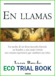 En llamas (Spanish Edition)