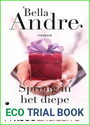 Sprong in het diepe (Seattle Sullivans #4; The Sullivans #12)
