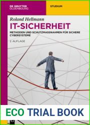 IT-Sicherheit: Methoden und Schutzmassnahmen fur Sichere Cybersysteme (de Gruyter Studium) (German Edition)