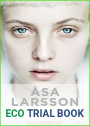 De tweede zonde (Rebecka Martinsson, #5)