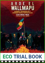Arde el Wallmapu. Autonomia, insubordinacion y movimiento radical mapuche en Chile (Spanish Edition)