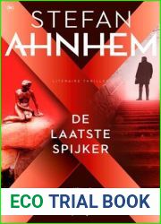 De laatste spijker (Fabian Risk, #6)
