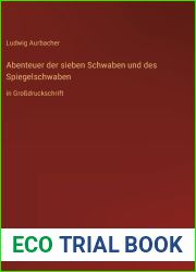 Abenteuer der sieben Schwaben und des Spiegelschwaben: in Grossdruckschrift (German Edition)
