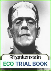 Frankenstein: by Mary Shelley ( the 1831 original edition )