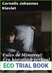 Fulco de Minstreel: Een historisch verhaal uit den tijd van Graaf Jan I voor jongelieden (Dutch Edition)